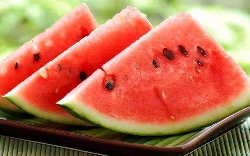 带你吃瓜音乐,一场听觉盛宴的奇妙之旅